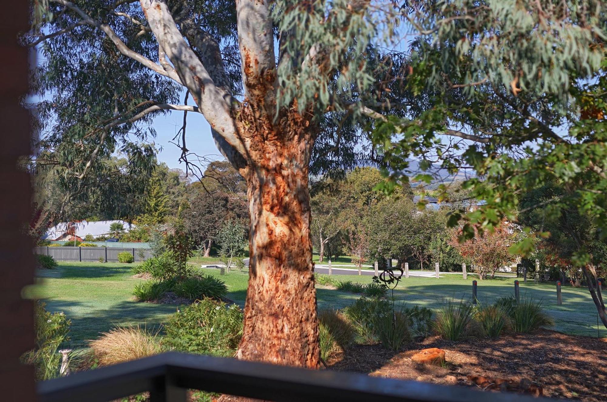 Yarra Gables Healesville Exterior foto